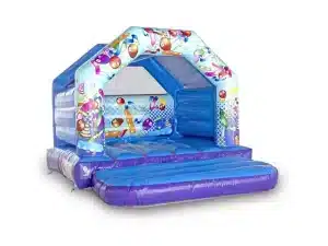 Party Themed Bouncy Castle