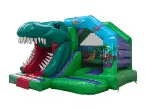 Crocodile Bouncy Castle Slide Combo