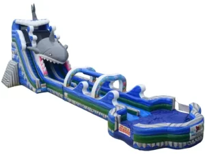 Dual Lane Shark Water Slide