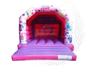 inflatable bouncy castle